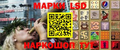 прущие грибы Пыть-Ях