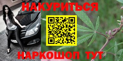прущие грибы Пыть-Ях